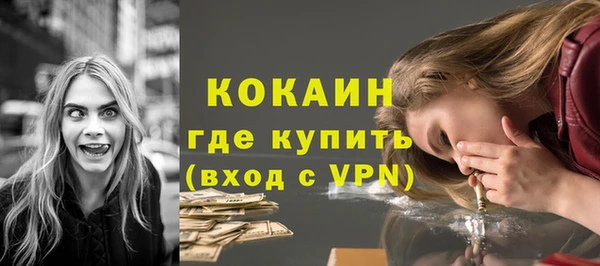 мдпв Ельня