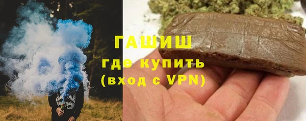 мдпв Ельня