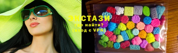 мдпв Ельня