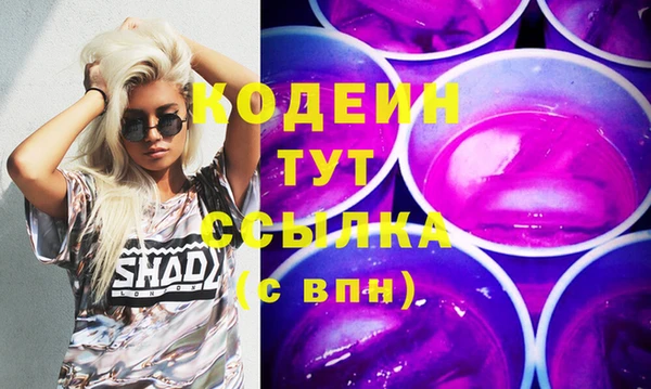 мдпв Ельня