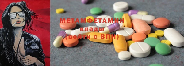мдпв Ельня