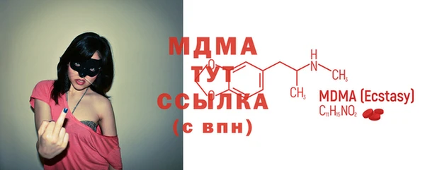 мдпв Ельня