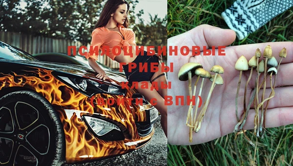 мдпв Ельня