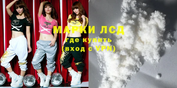 мдпв Ельня