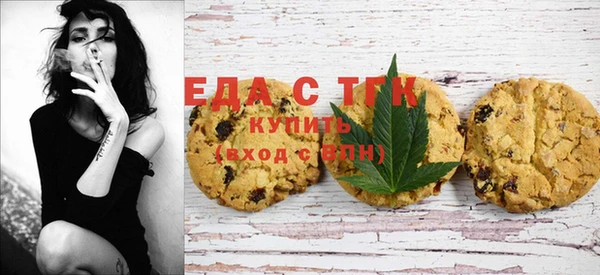мдпв Ельня