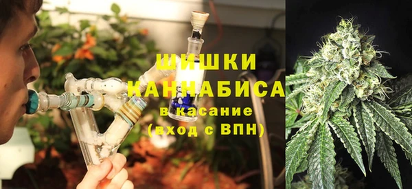 мдпв Ельня