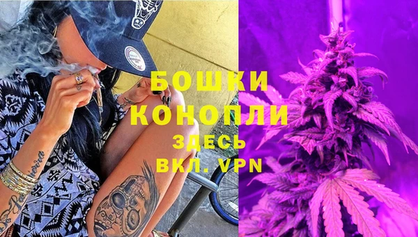 мдпв Ельня