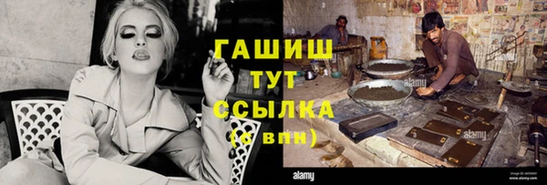 мдпв Ельня